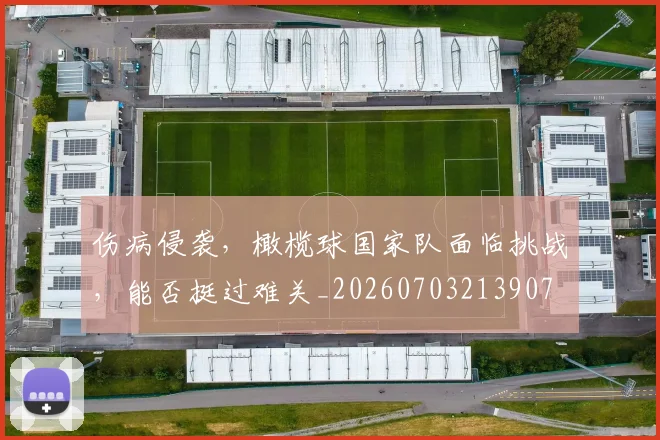伤病侵袭,橄榄球国家队面临挑战,能否挺过难关_20260703213907