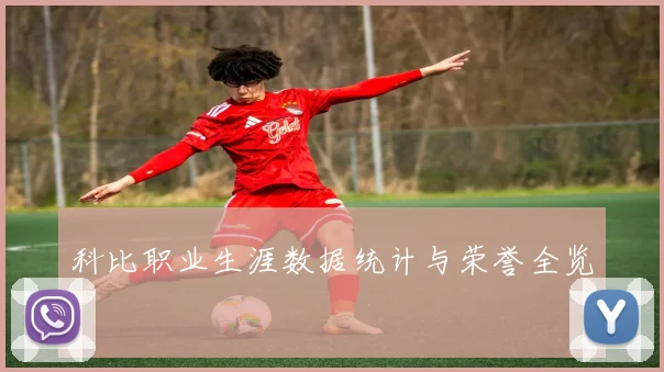科比职业生涯数据统计与荣誉全览