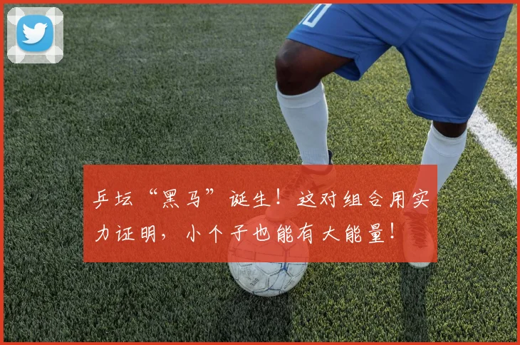 乒坛“黑马”诞生!这对组合用实力证明,小个子也能有大能量!
