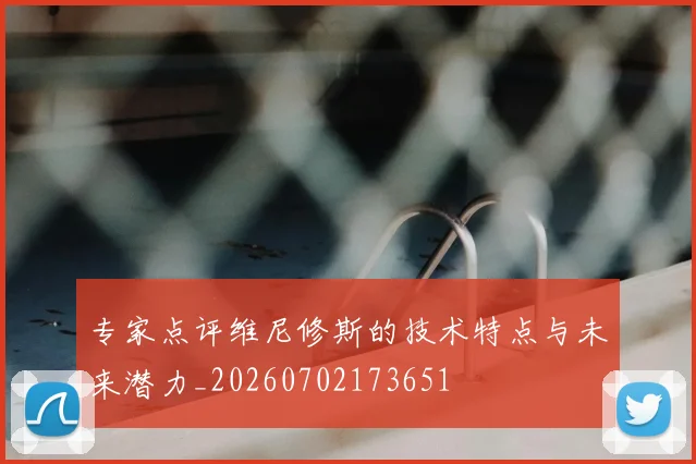 专家点评维尼修斯的技术特点与未来潜力_20260702173651