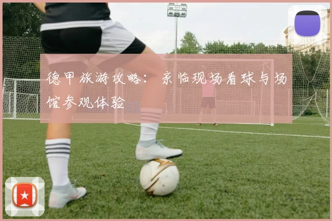德甲旅游攻略:亲临现场看球与场馆参观体验
